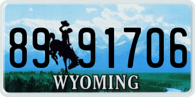 WY license plate 8991706