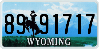 WY license plate 8991717
