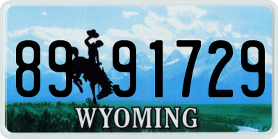 WY license plate 8991729