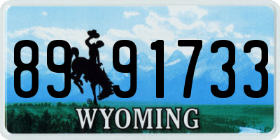 WY license plate 8991733