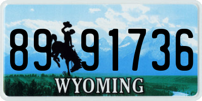 WY license plate 8991736