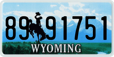 WY license plate 8991751