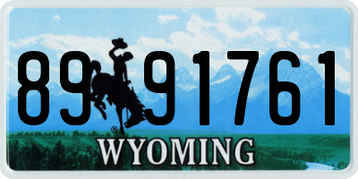 WY license plate 8991761