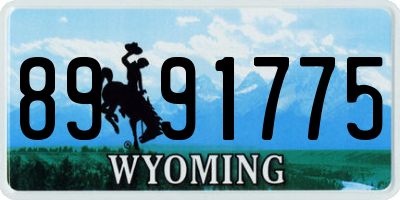 WY license plate 8991775