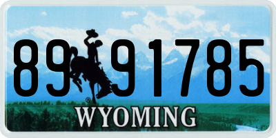 WY license plate 8991785