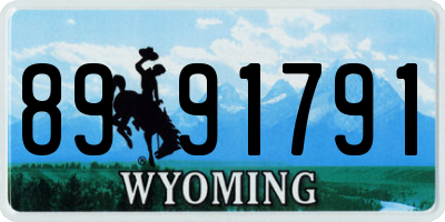 WY license plate 8991791