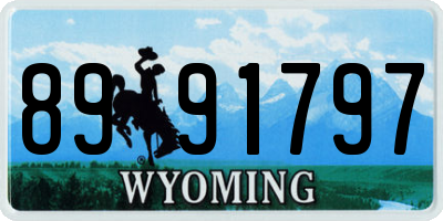WY license plate 8991797