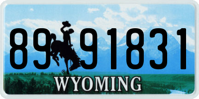 WY license plate 8991831