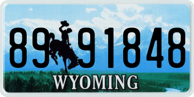 WY license plate 8991848