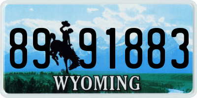 WY license plate 8991883