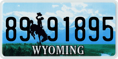 WY license plate 8991895