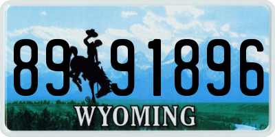 WY license plate 8991896