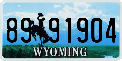 WY license plate 8991904