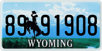 WY license plate 8991908