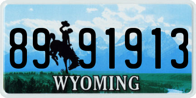 WY license plate 8991913