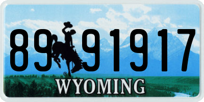 WY license plate 8991917