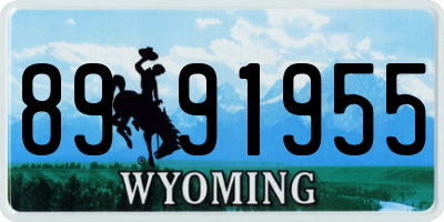 WY license plate 8991955