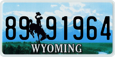 WY license plate 8991964