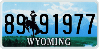 WY license plate 8991977