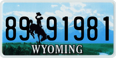 WY license plate 8991981