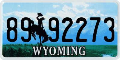WY license plate 8992273