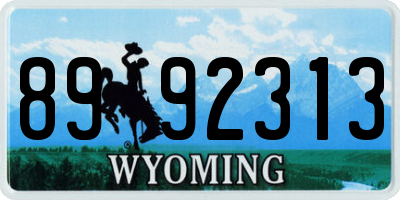 WY license plate 8992313