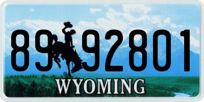 WY license plate 8992801