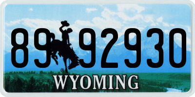 WY license plate 8992930