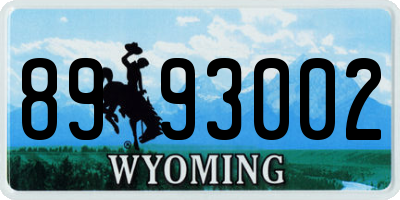WY license plate 8993002