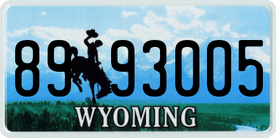 WY license plate 8993005