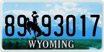 WY license plate 8993017