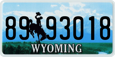 WY license plate 8993018