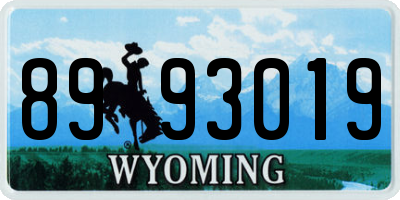 WY license plate 8993019