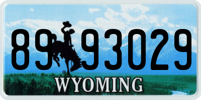 WY license plate 8993029