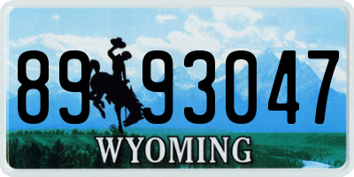 WY license plate 8993047