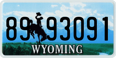 WY license plate 8993091