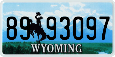 WY license plate 8993097