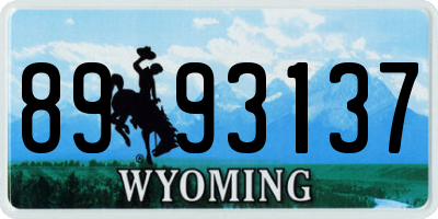 WY license plate 8993137
