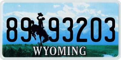 WY license plate 8993203