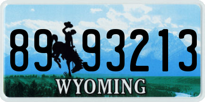 WY license plate 8993213