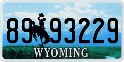 WY license plate 8993229