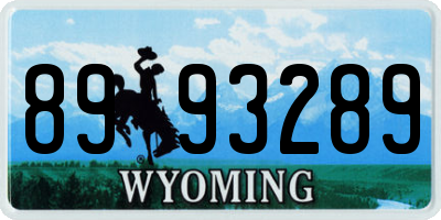 WY license plate 8993289