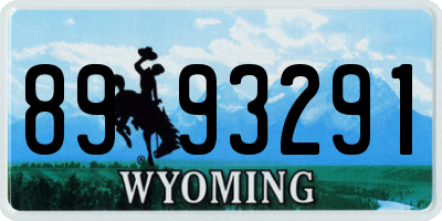 WY license plate 8993291