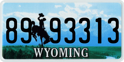 WY license plate 8993313