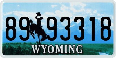 WY license plate 8993318