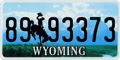 WY license plate 8993373