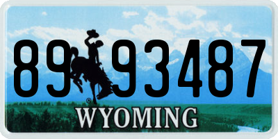 WY license plate 8993487