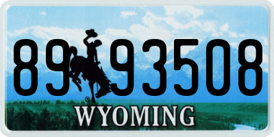WY license plate 8993508