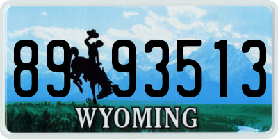 WY license plate 8993513