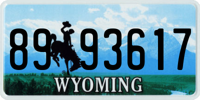 WY license plate 8993617